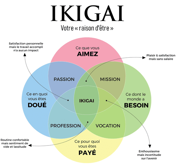 diagremme de venne ikigai