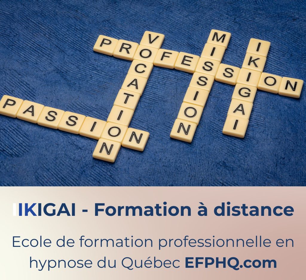 IKIGAI Formation a distance efphq.com
