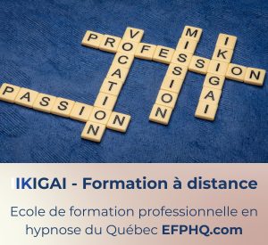 ikigai-formation-efphq-philosophie-de-vie